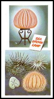 37 Underwater Pin cushion